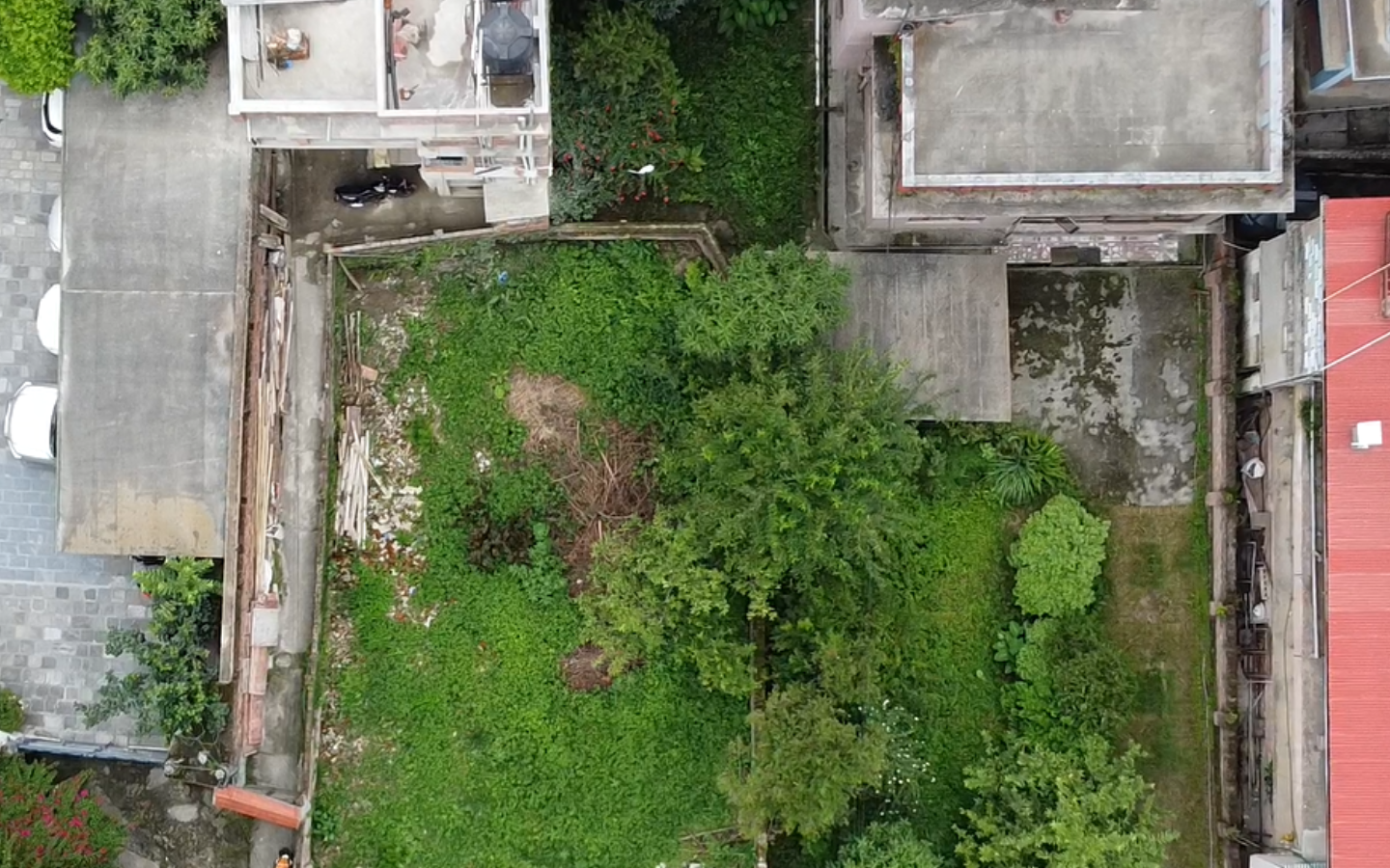 Untitled design – 2026-02-11T130157.927