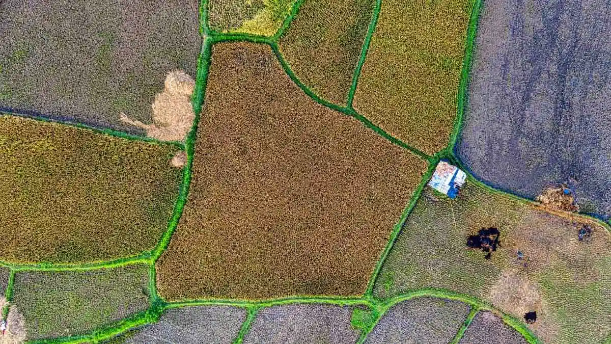 how to verify land in nepal